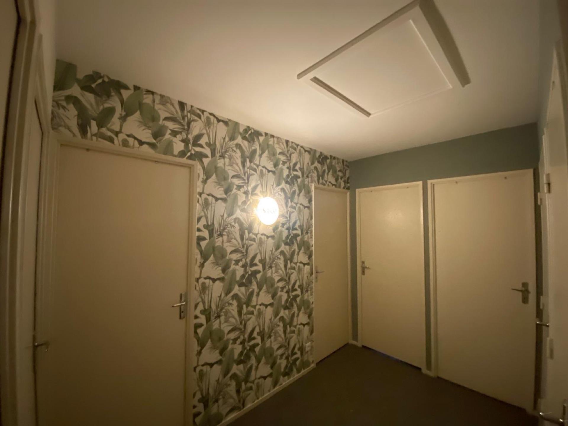 Entrée décorée d'un papier peint à motif végétal vert posé par la Société Peinture Malas près d'Alençon
